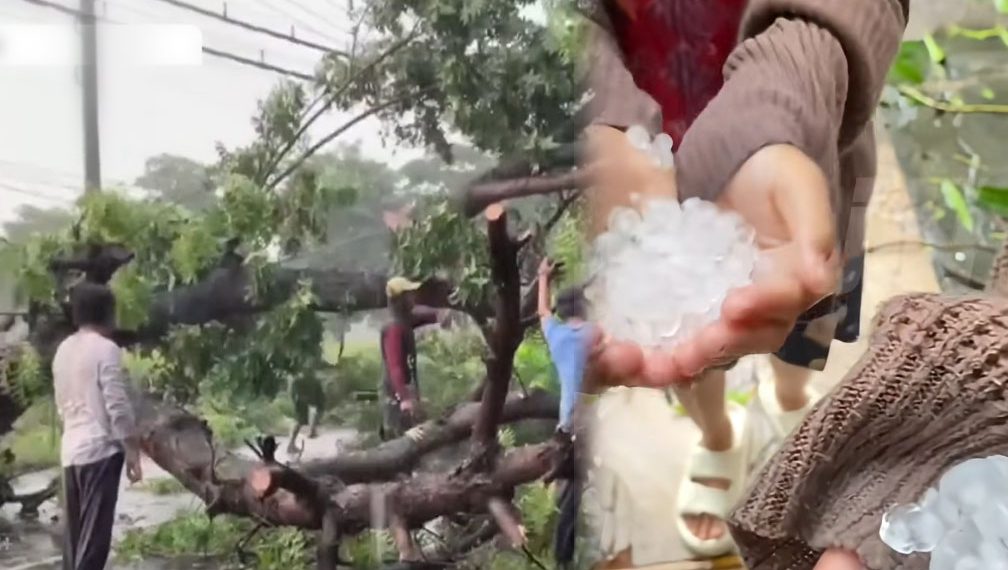 Hujan Es dan Angin Puting Beliung Terjang Lamongan, Rumah Rusak dan Pohon Bertumbangan